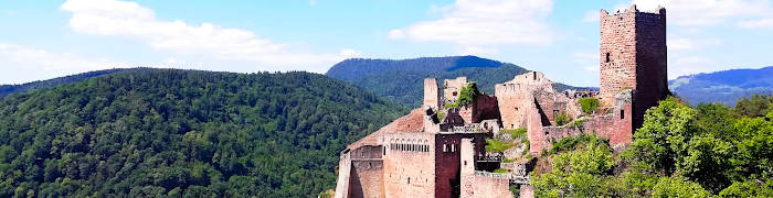 Ribeauvillé Wheelchair Alsace Accessible France Tours