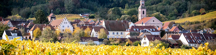 Riquewihr Wheelchair Alsace Accessible France Tours